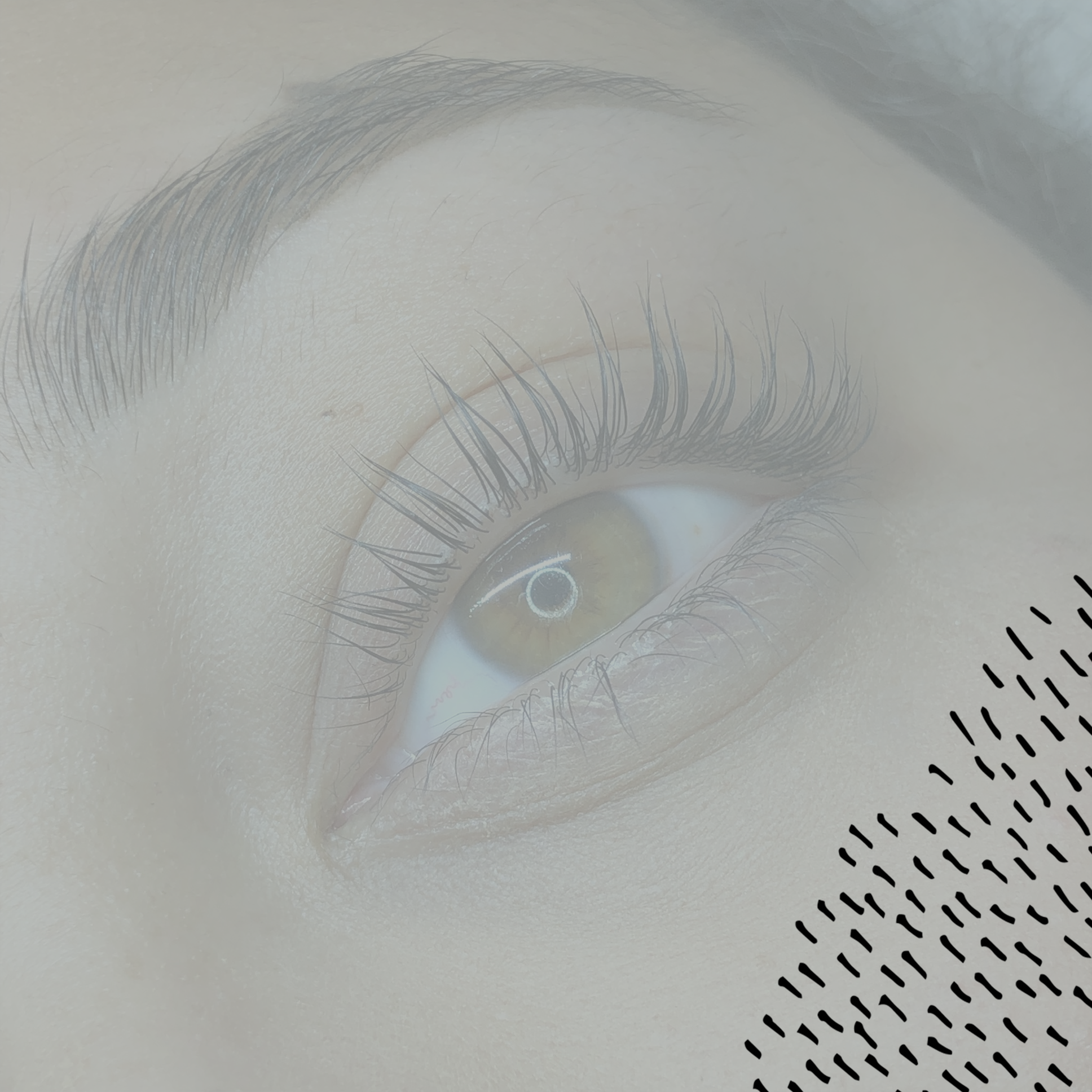 Lashed_04lashlift copy.png