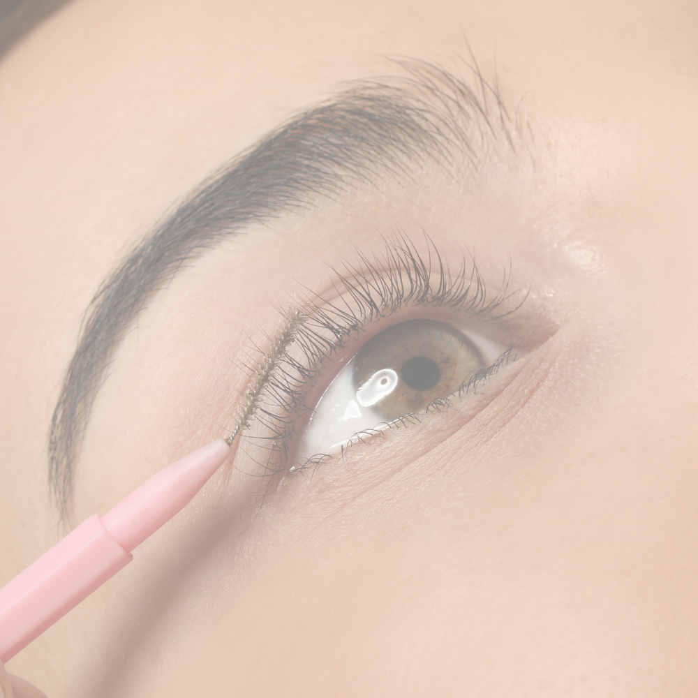 LASHED | beauty studio & academy