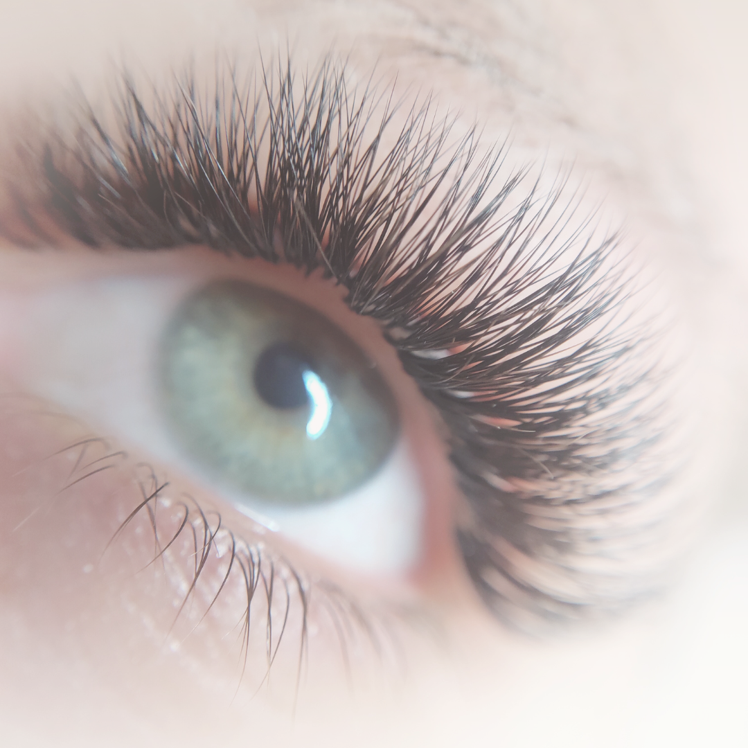LASHED | beauty studio & academy
