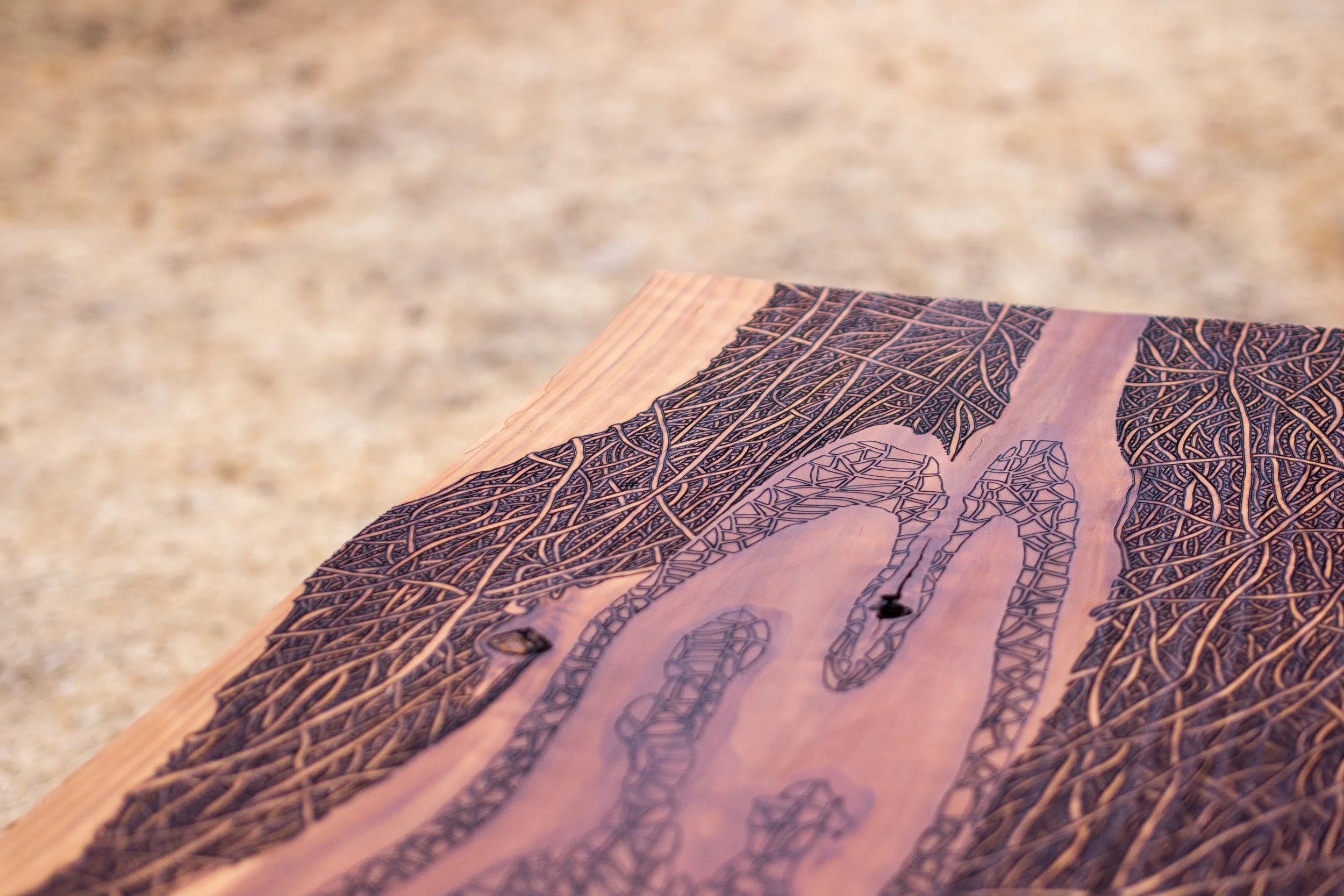 Red Wood Flow_10.JPG