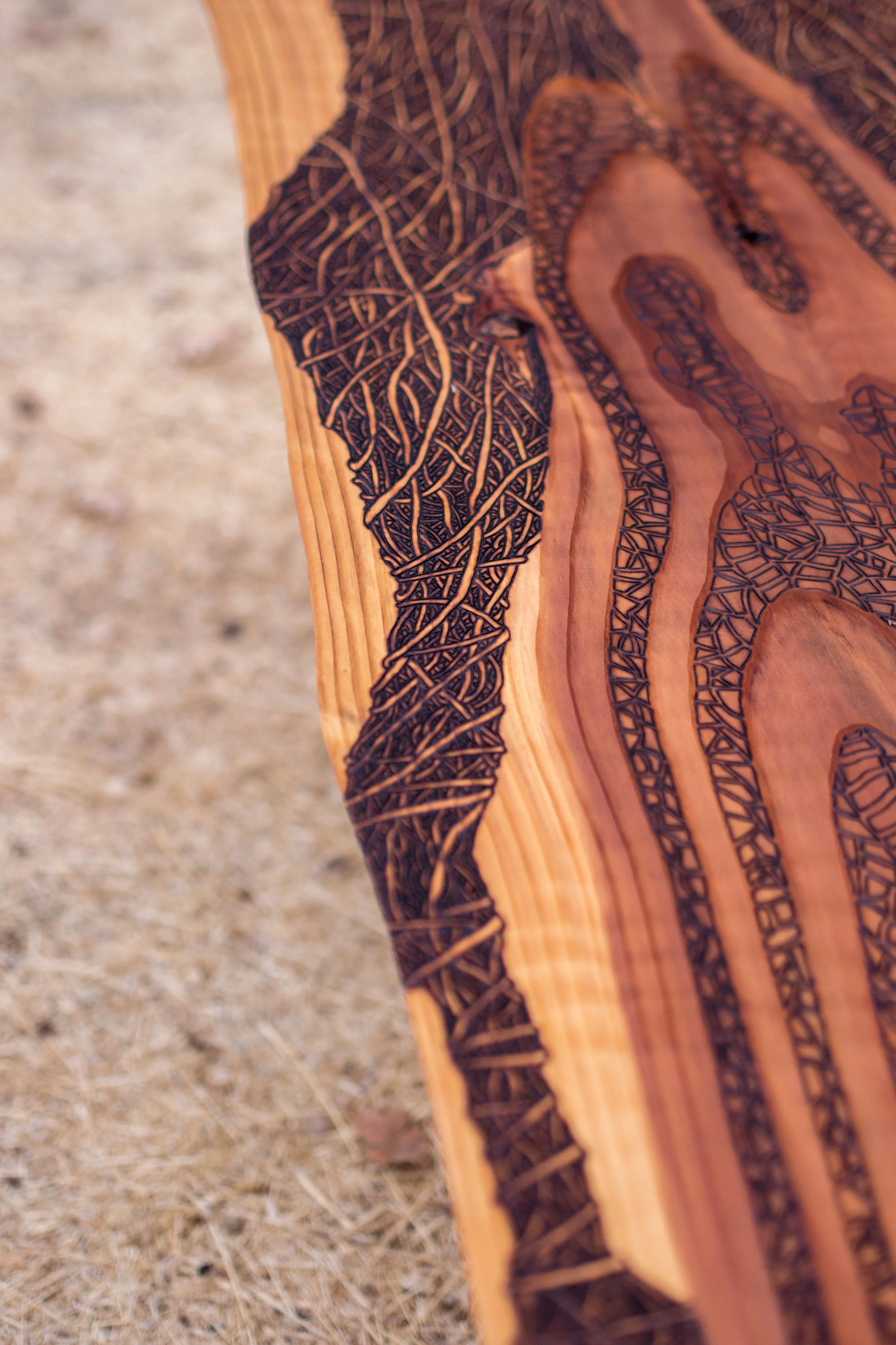 Red Wood Flow_16.JPG