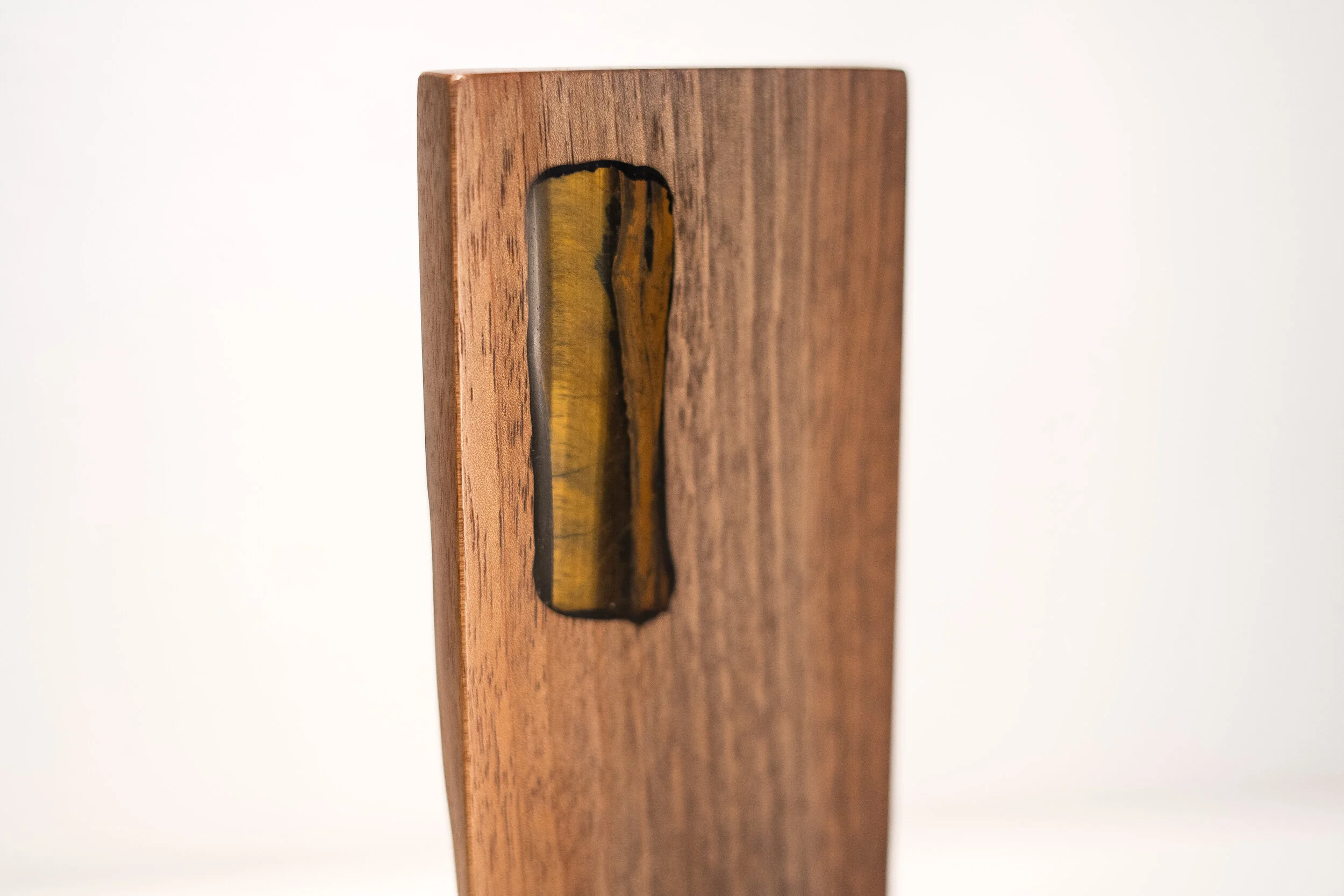 Tiger Eye_3-2.JPG