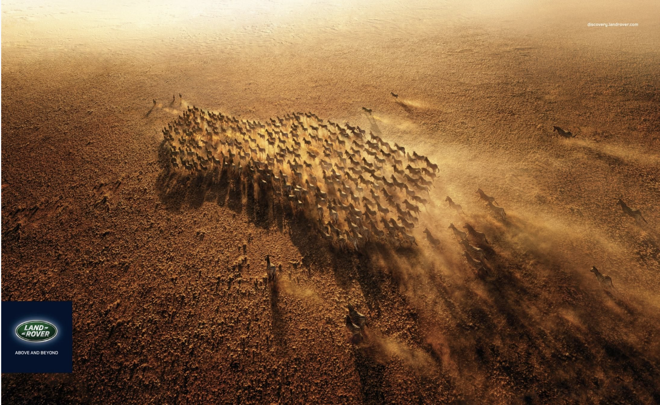 Screen Shot 2020-10-13 at 9.52.51 am.png