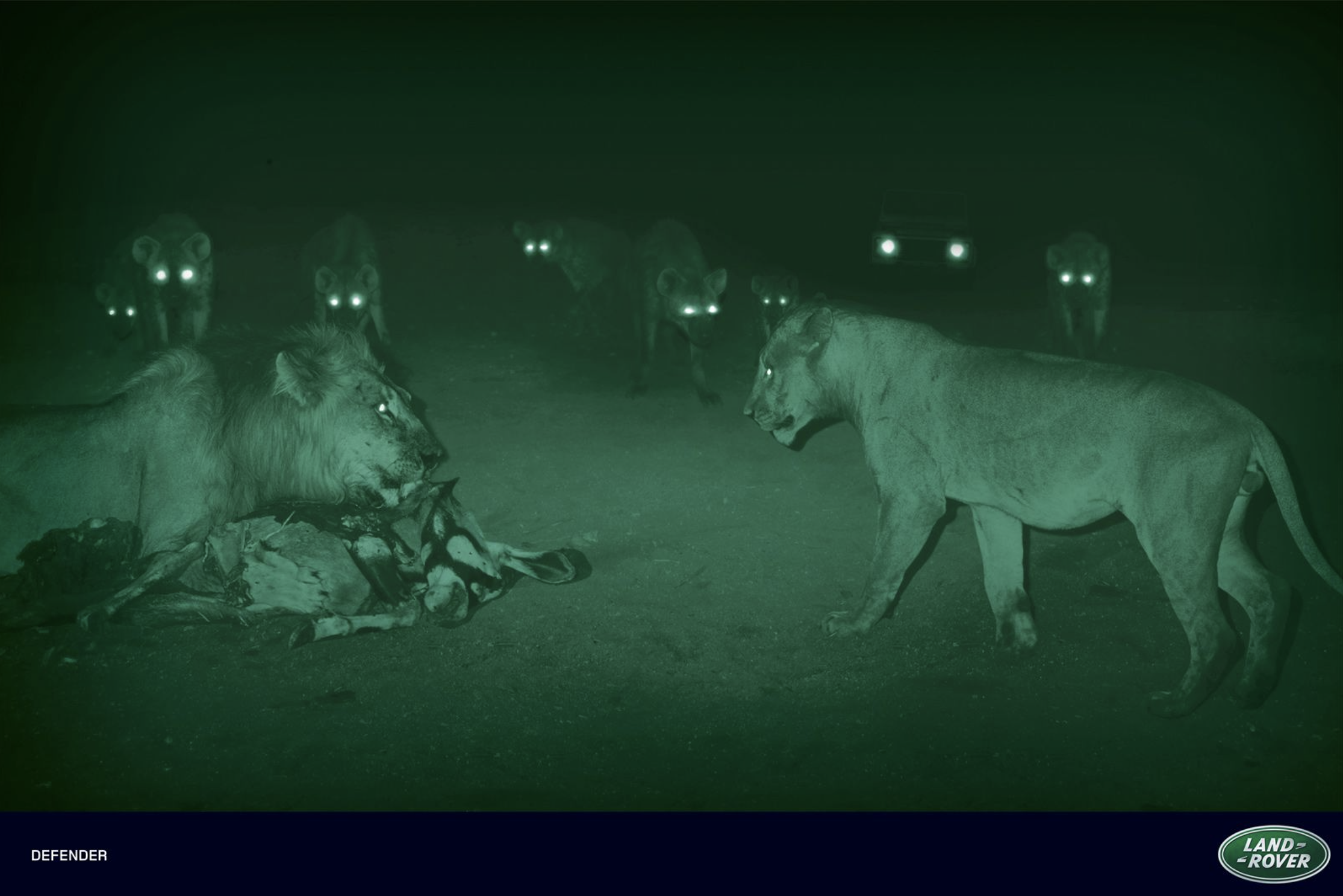 Screen Shot 2020-10-13 at 9.53.15 am.png