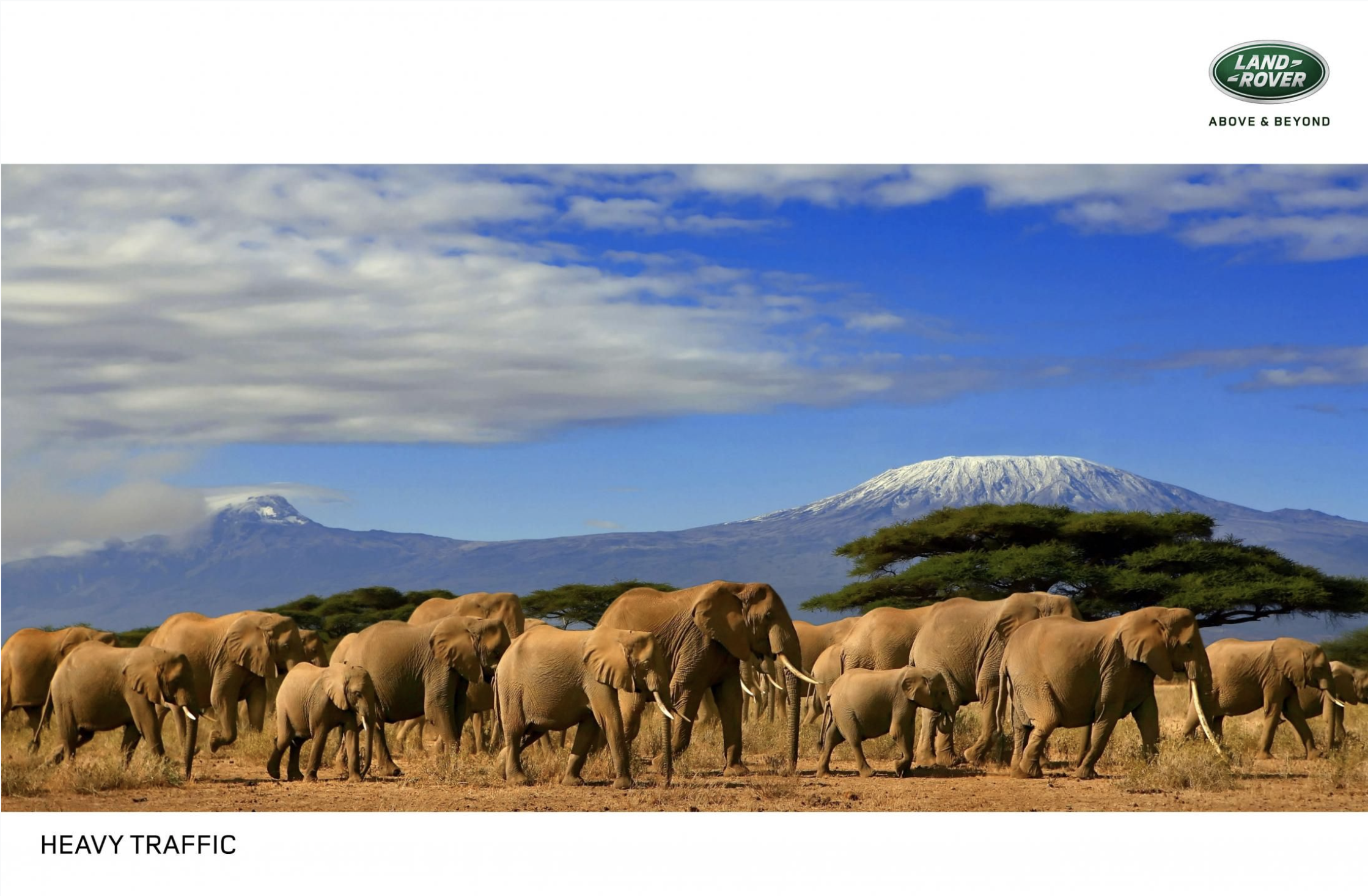 Screen Shot 2020-10-13 at 9.54.50 am.png