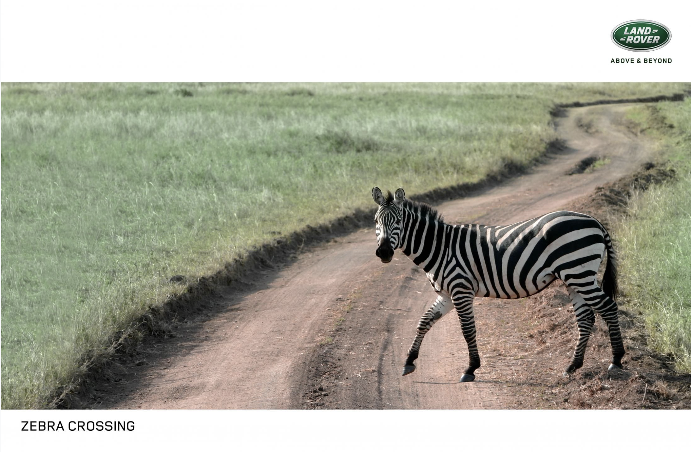 Screen Shot 2020-10-13 at 9.54.02 am.png