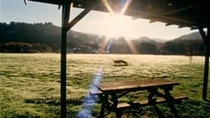 Pedigree | We're for dogs | Future Demand | 60sec