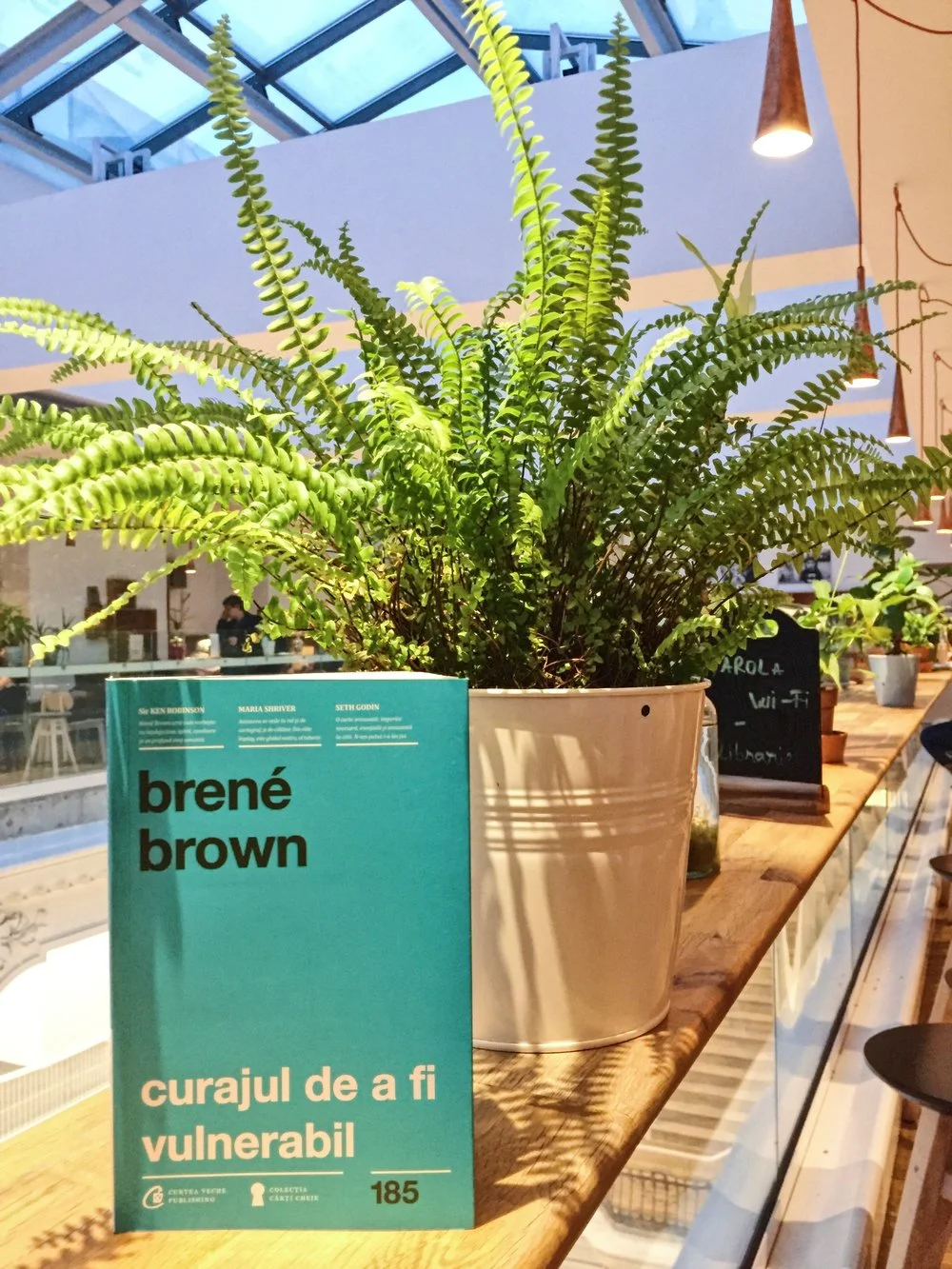 Brene+Brown+Vulnerabilitate+Carturesti+Yoga+City.jpeg