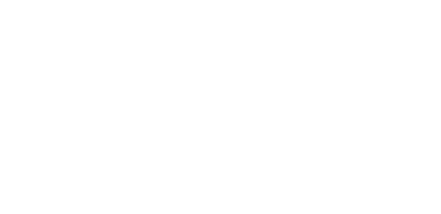 buffalo niagra OFFICIAL SELECTION.png