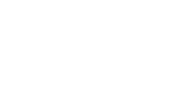 Docs WIthout Borders OFFICIAL SELECTION.png