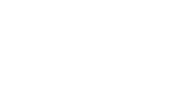 boston OFFICIAL SELECTION.png