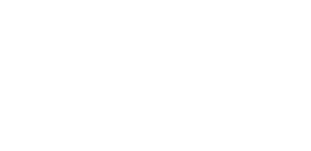 New York City Independent OFFICIAL SELECTION.png