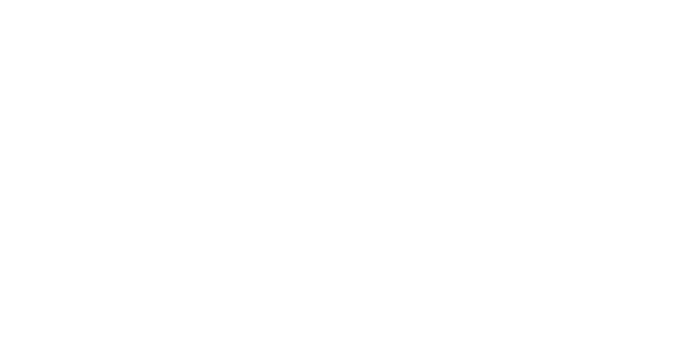 New York City Independent OFFICIAL SELECTION.png