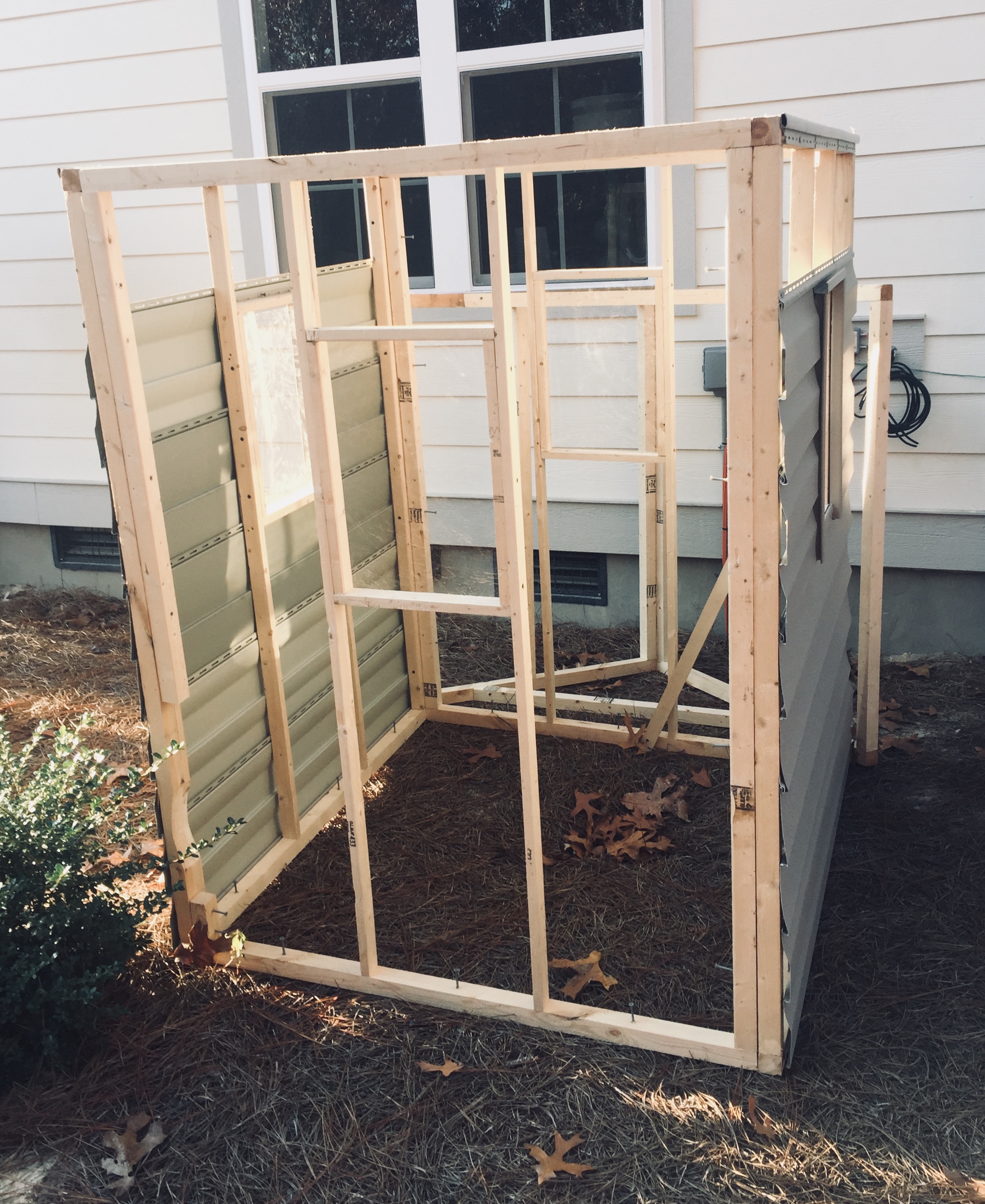 The beginnings of a tree-house frame, built by my husband and son, one nail at a time. I can't wait to see the finished product. 
