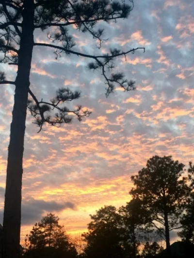 ncsunset.jpeg