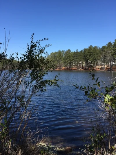 lake2.jpeg