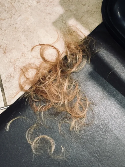 amyhair.jpeg