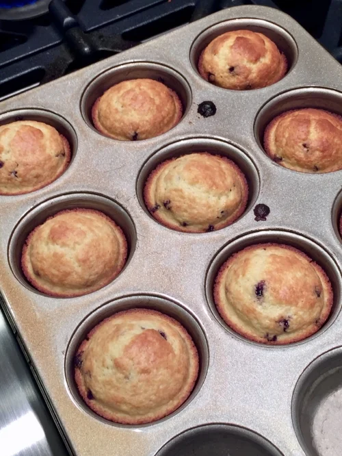 muffins.jpeg