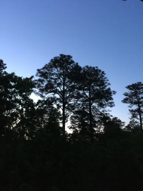 Sunset.jpeg