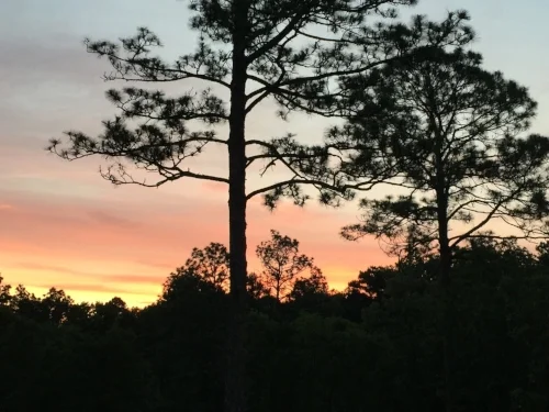 sunrise5am.jpeg