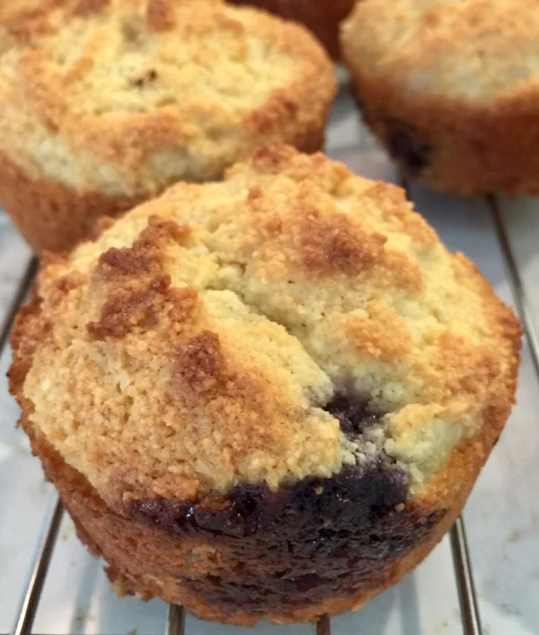 glutenfreeblueberrymuffins.jpeg