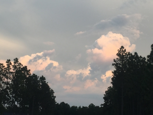 sky.jpeg
