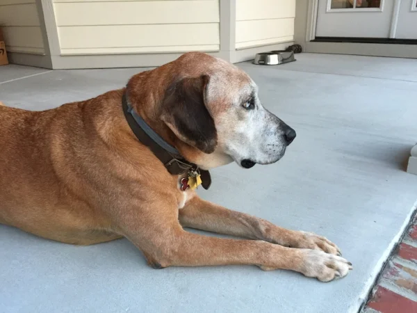 sandyporch.jpeg