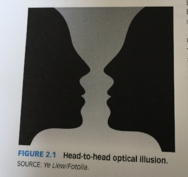 headtohead.jpeg