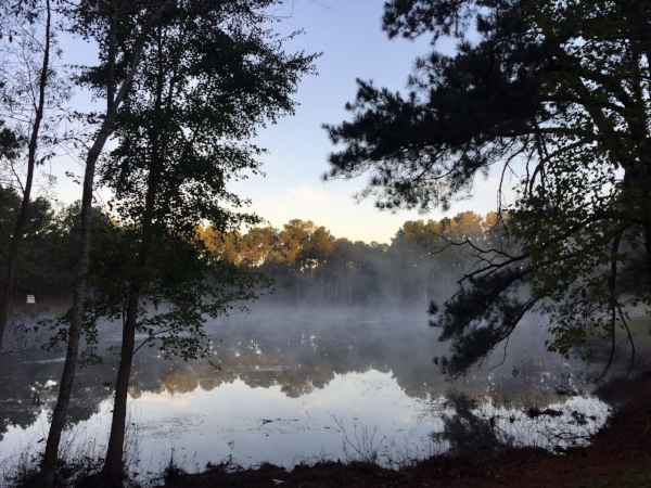 fog.jpeg