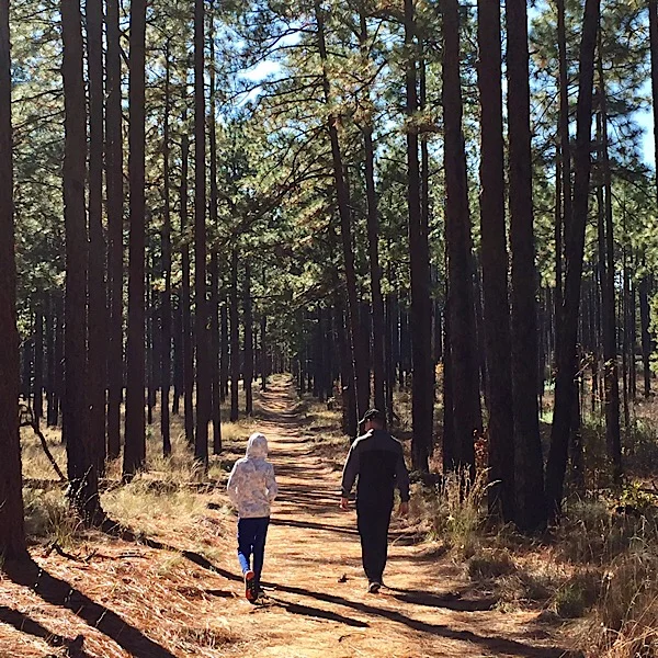 walkinginwoods.jpeg