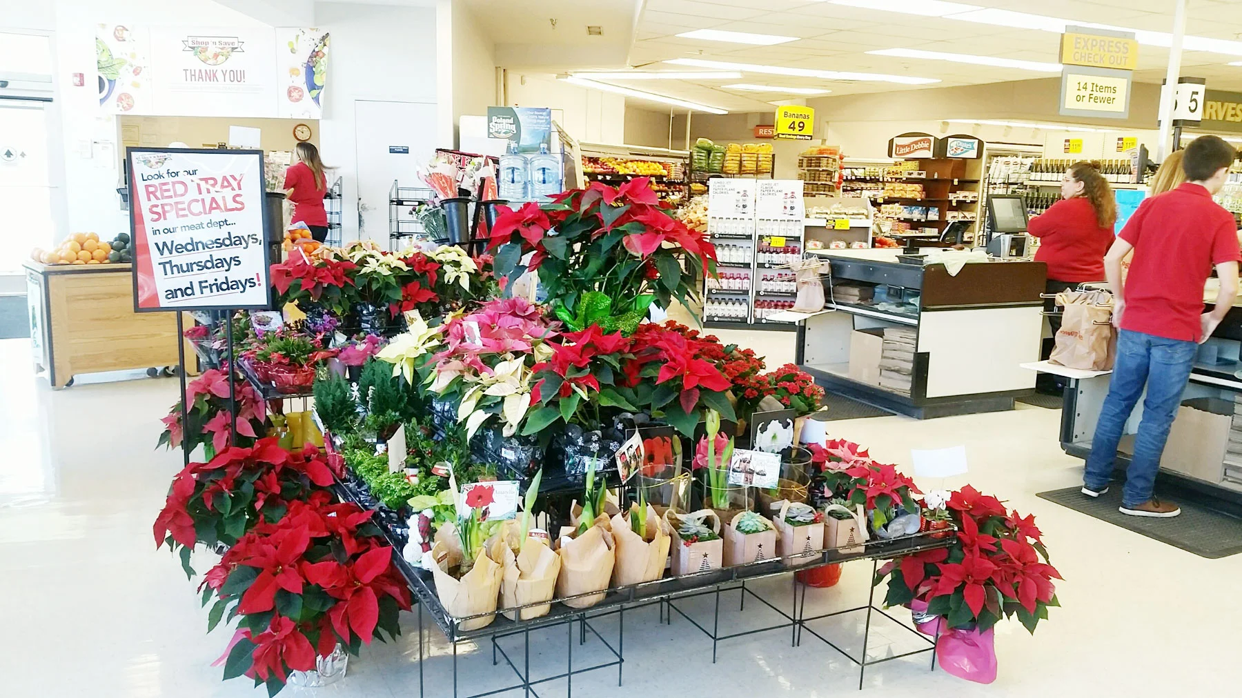 0-Ayer-Floral-banner.jpg