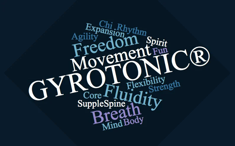gyro.jpg