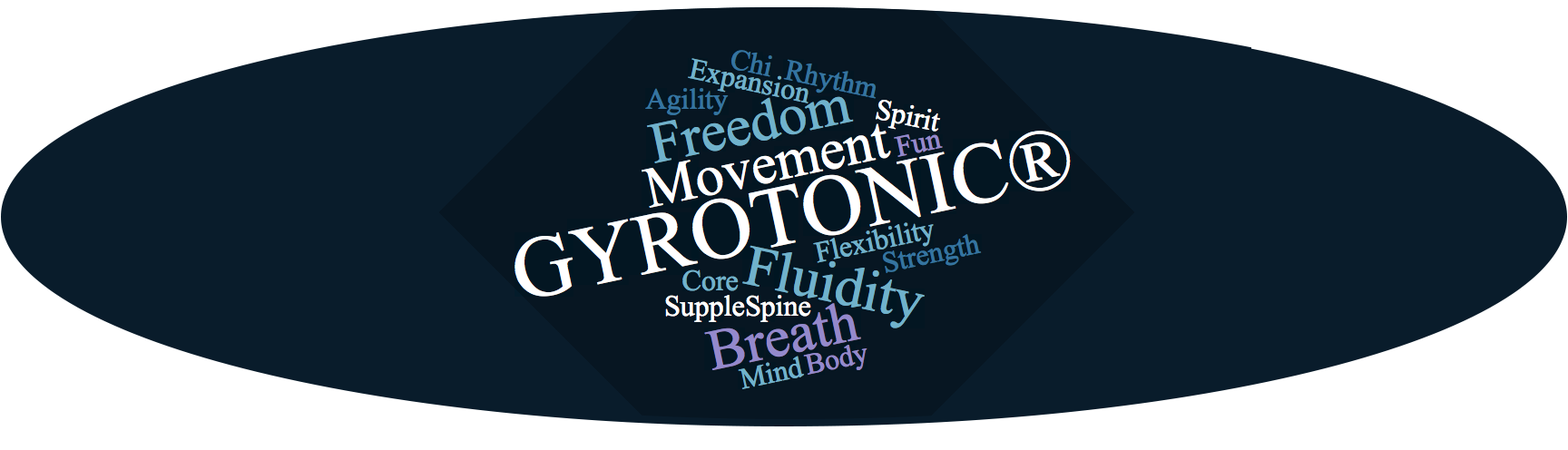 gyro-oval.png