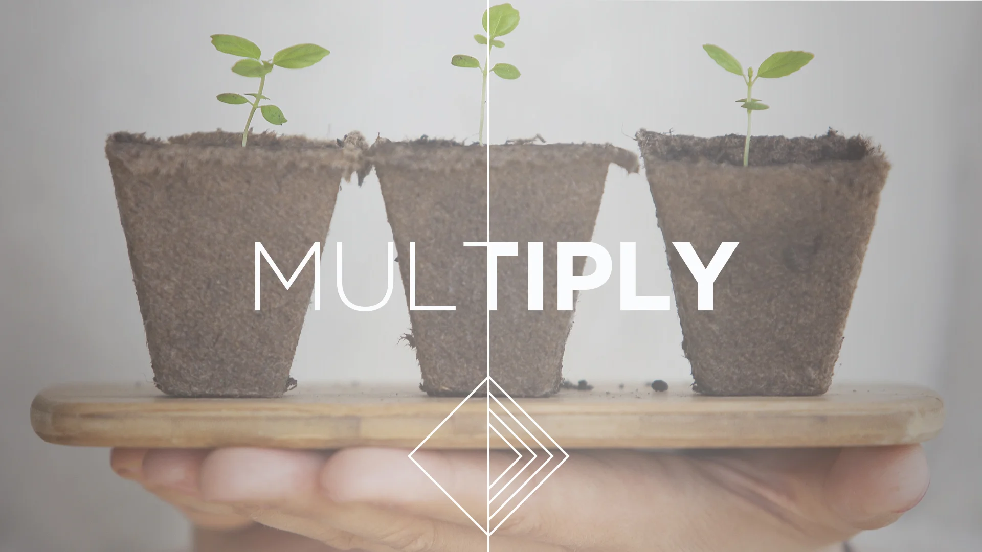 Multiply.jpg