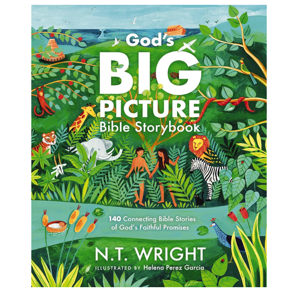 God's Big Picture Bible Storybook
