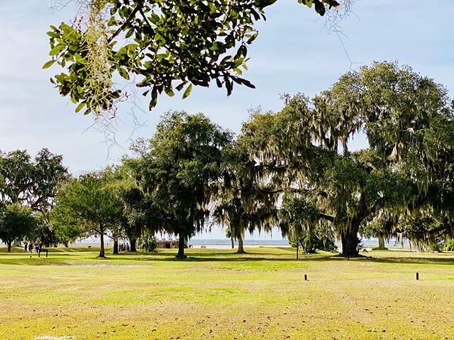 Time for a stroll? 
#nps #nationalparks #explore #ssi #100miles #coastalga #fortfrederica #parks #gahistory