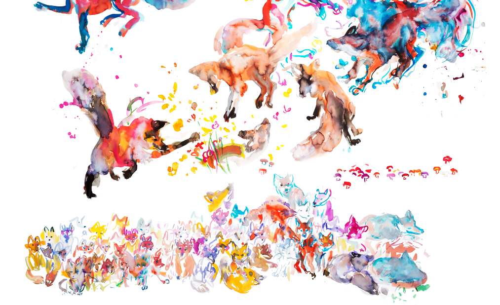foxdetailsHomepage.jpg