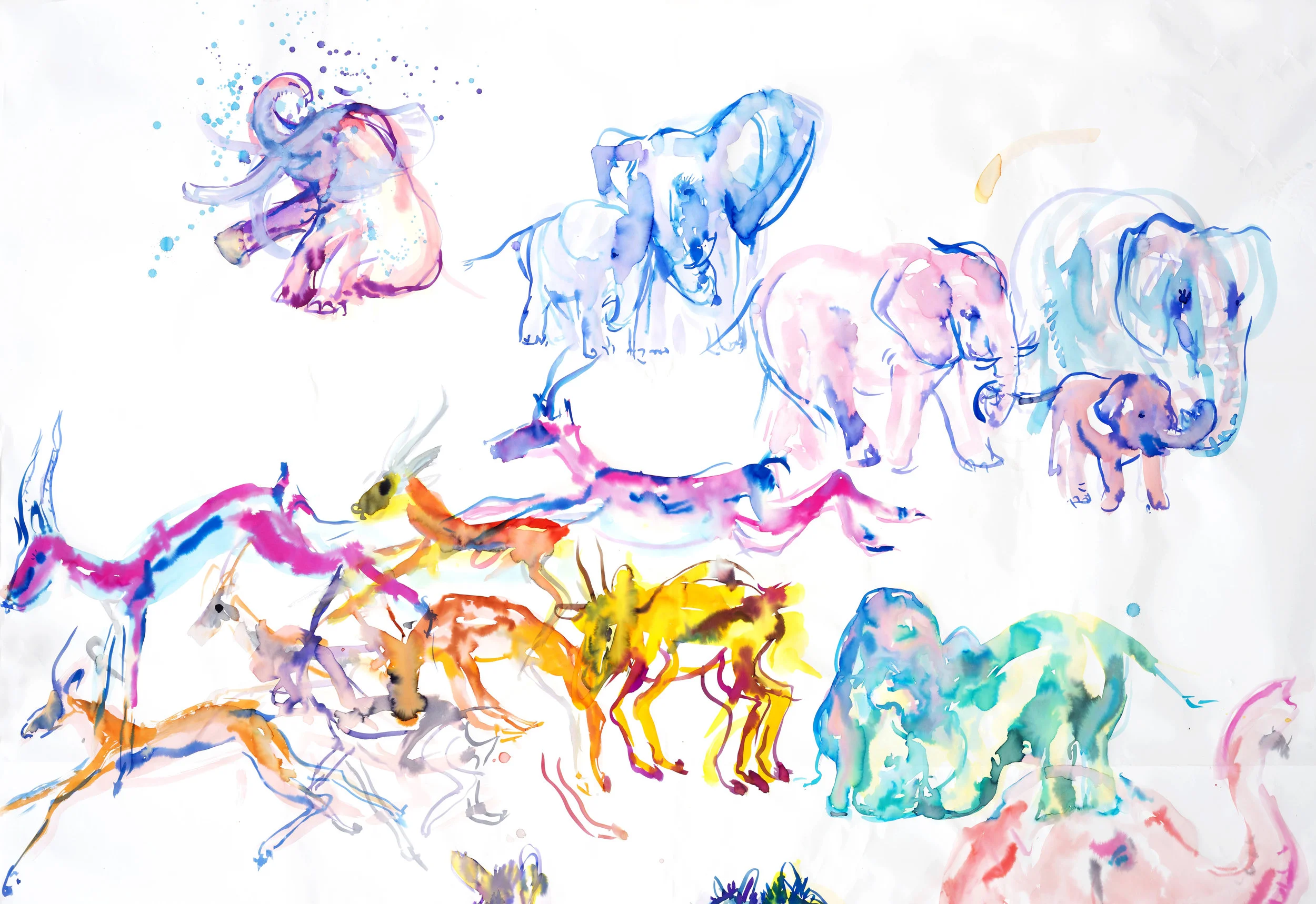 elephants.jpg