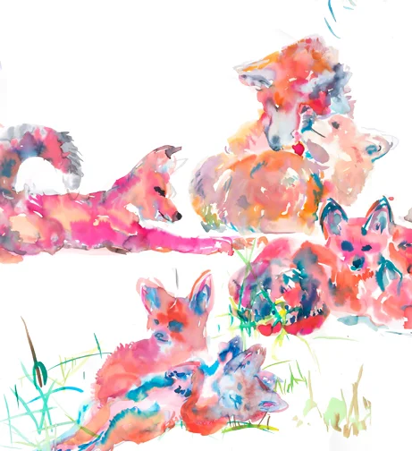 foxes art detail cuddling