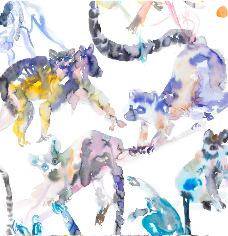 Lemur family detail