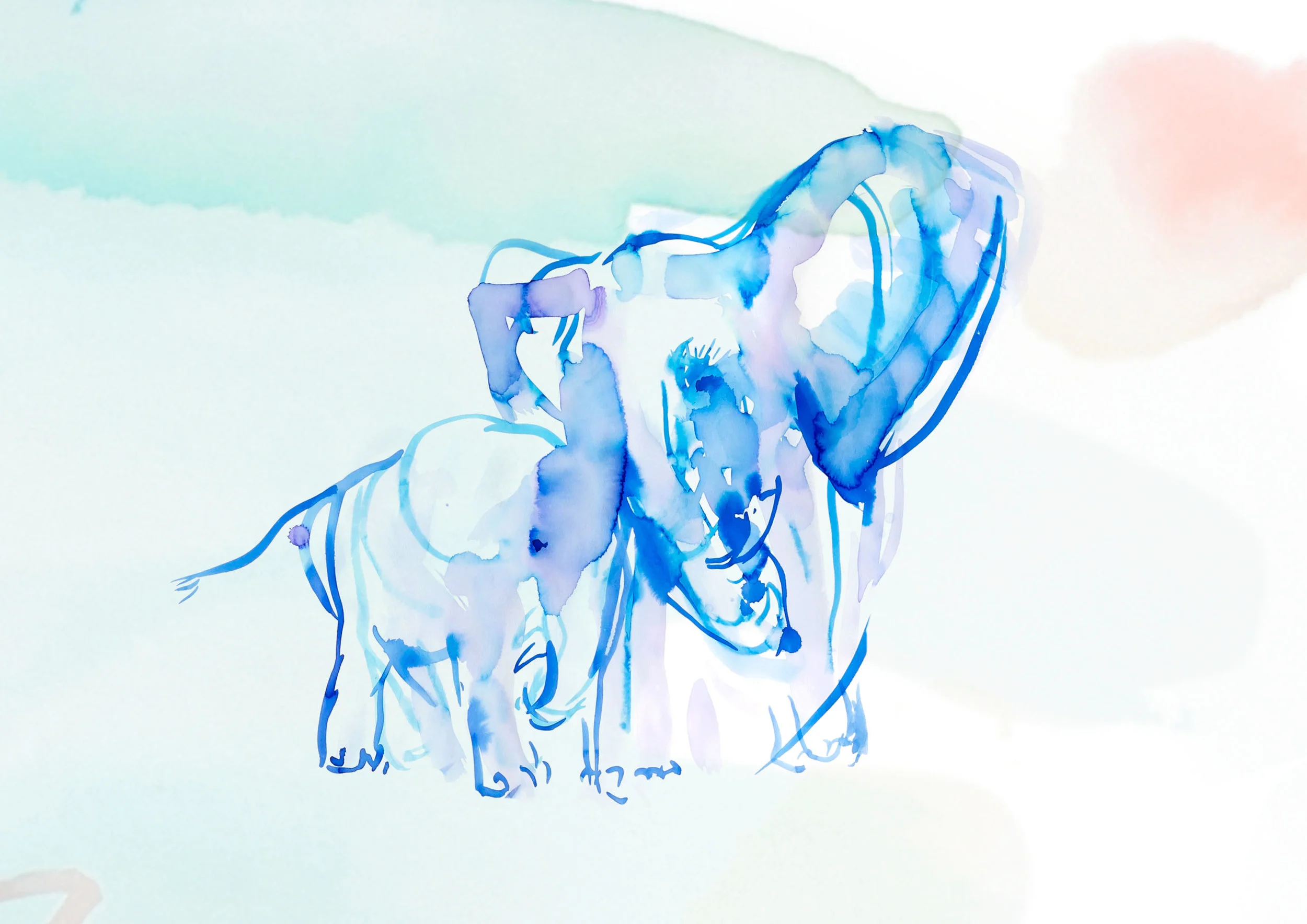 elephants1.jpg
