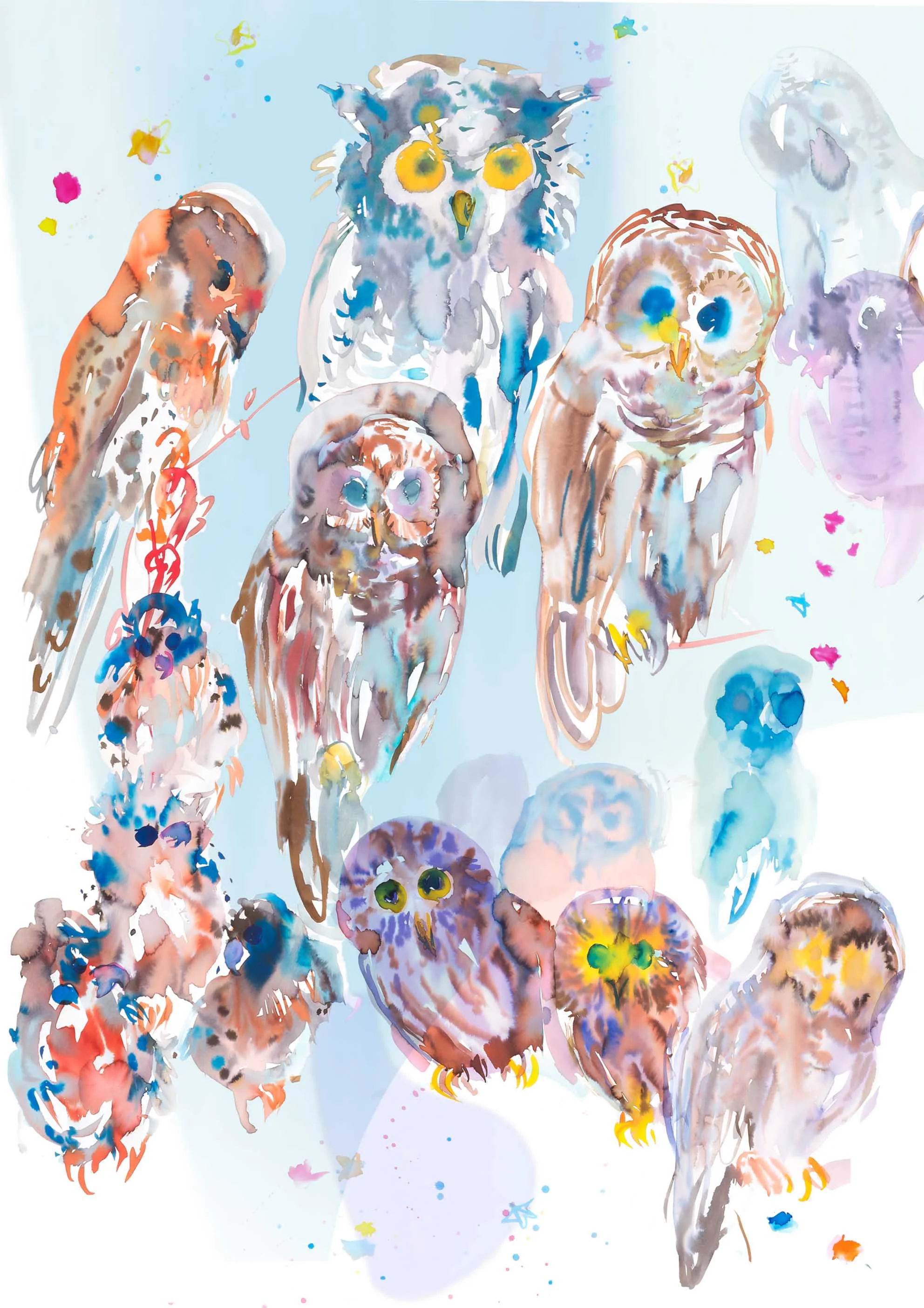 owls.jpg