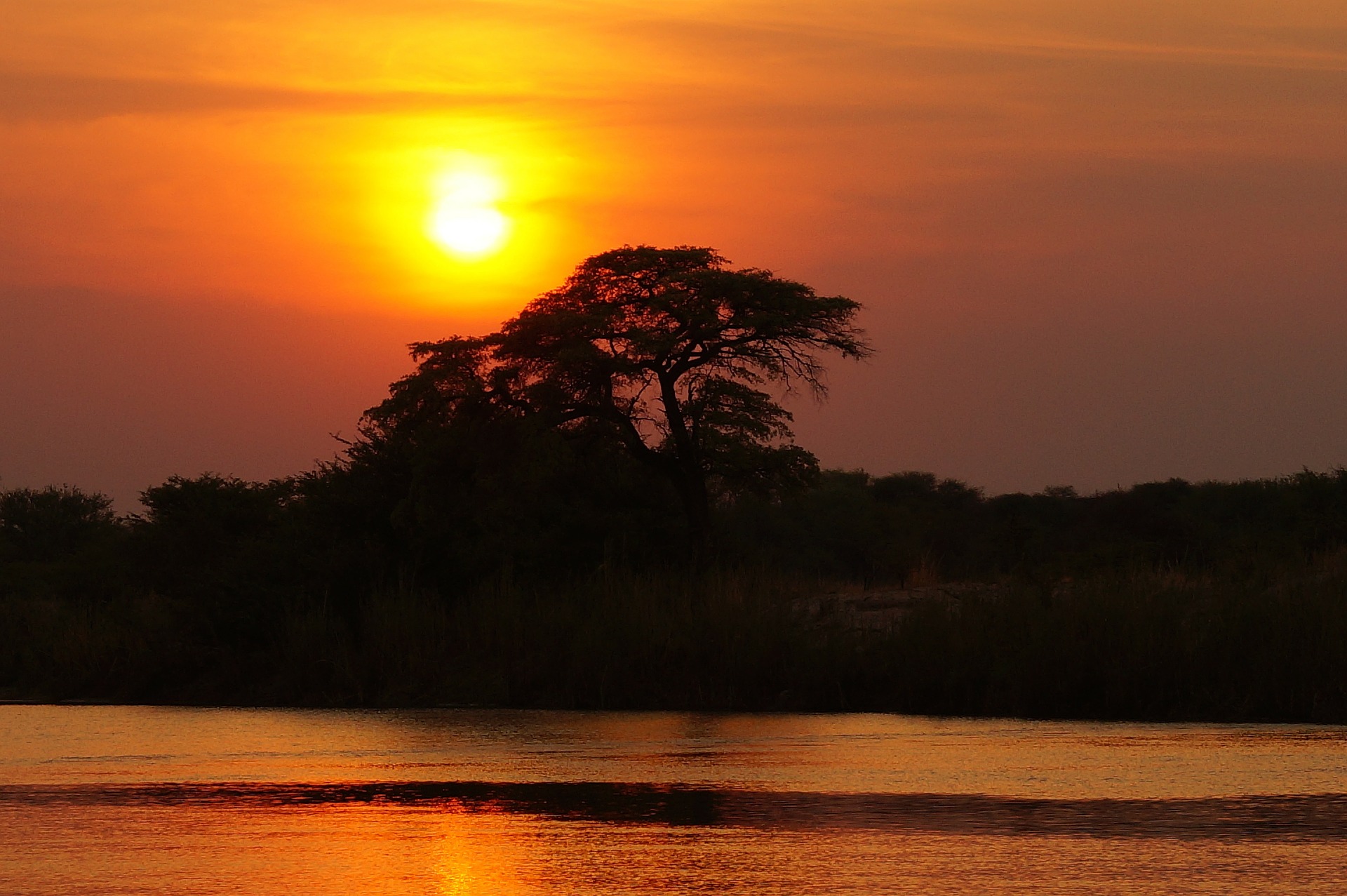 africa-290434_1920.jpg