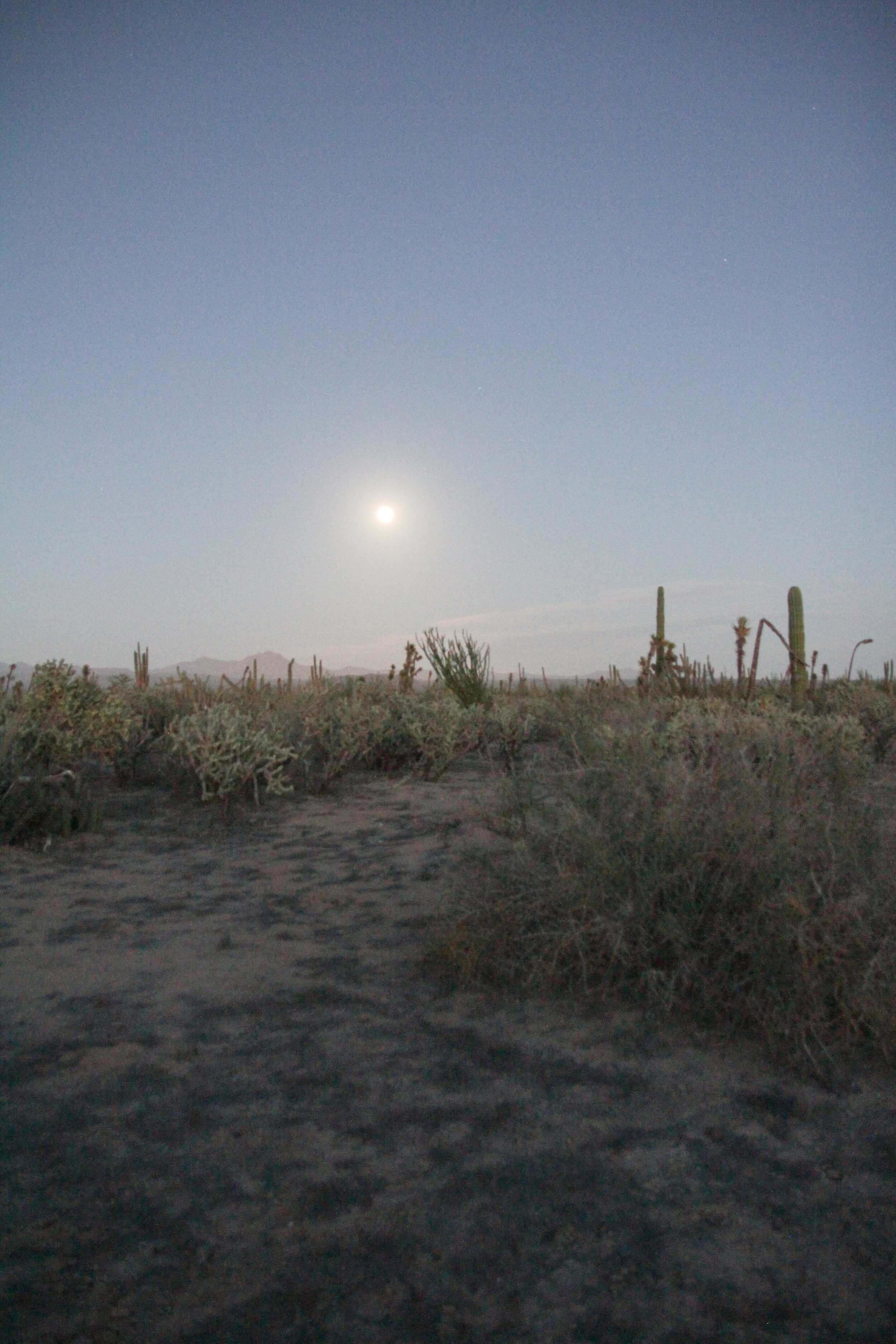 desertmoonrise.jpg