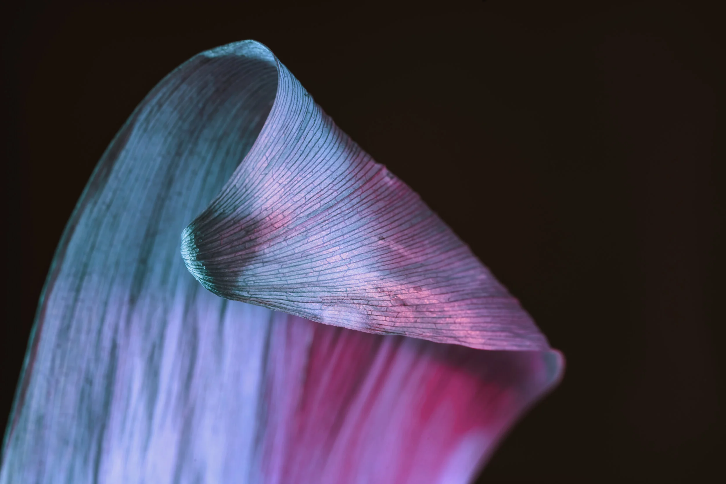 Expressing Desire Without Attachment