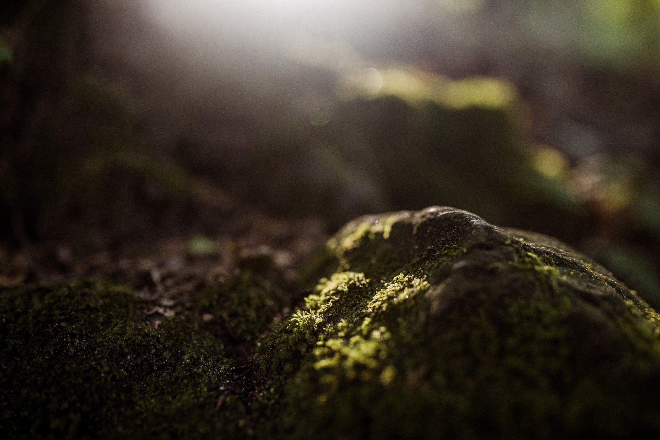 unsplash-image-EQqdGx9C-_o.jpg