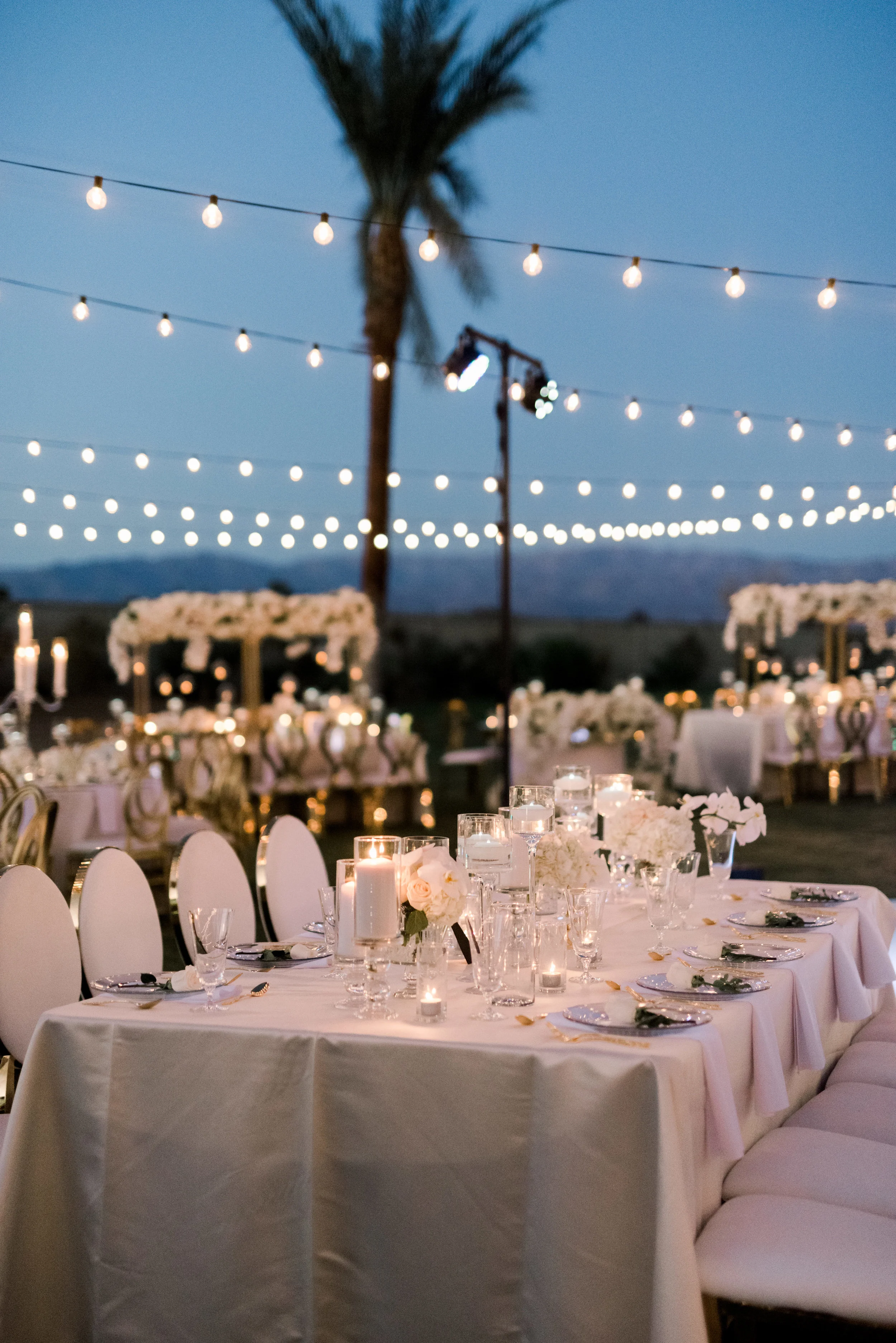 Reception-25.jpg
