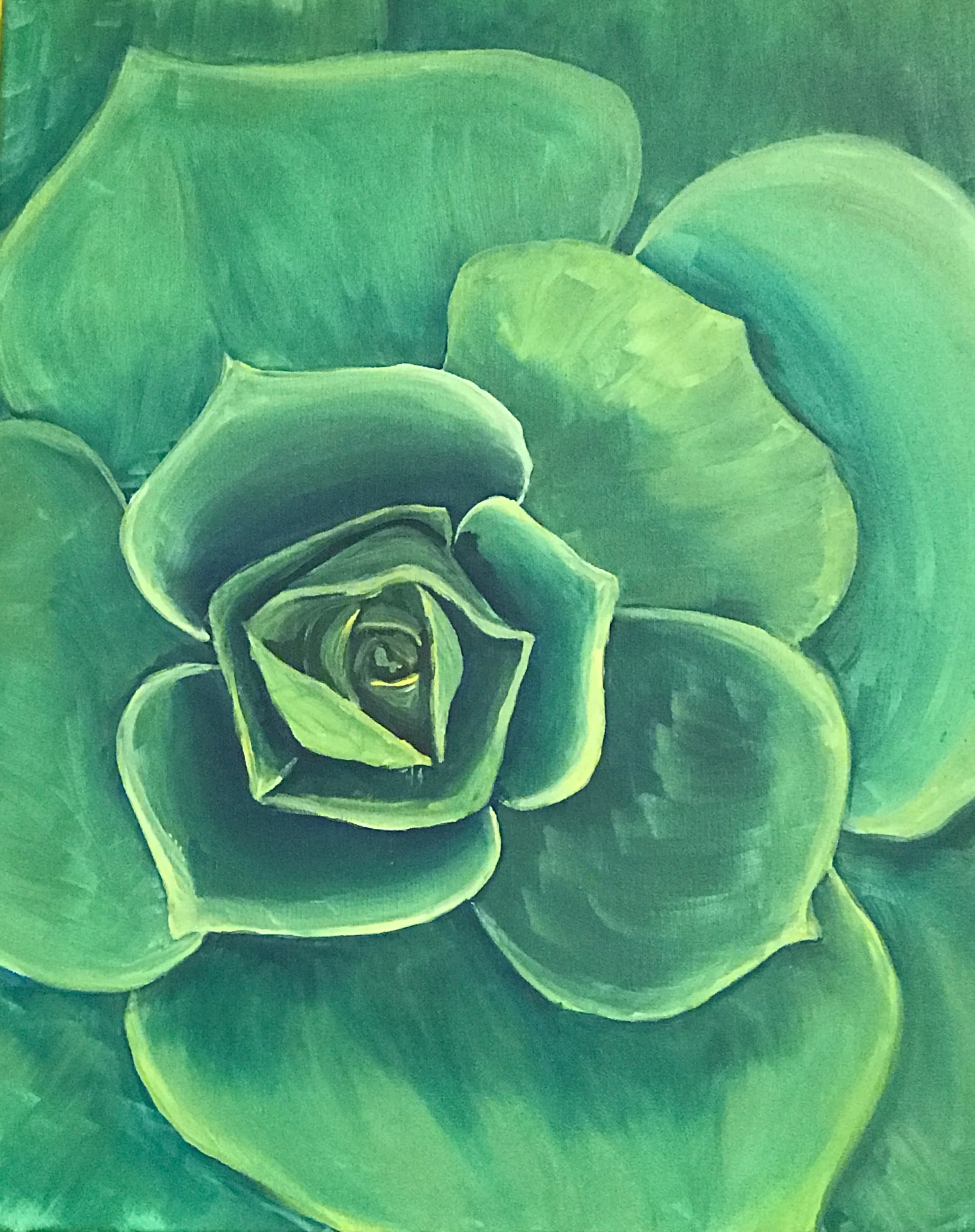 Succulent
