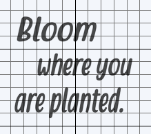 21. Bloom where you are planted.