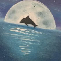 moonlight dolphin.jpg
